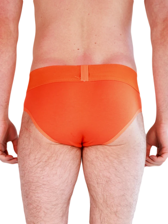 2SlipybykWiosna23.png