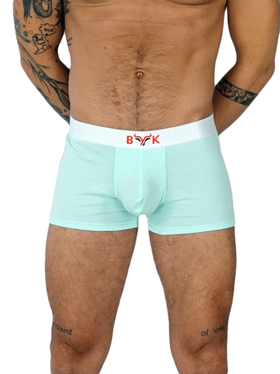 Bokserki CasualGuy Mint1.png