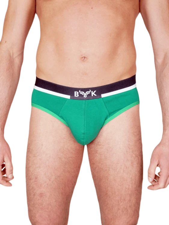 Slipy Klasyczne Zielone HOUSE1.png