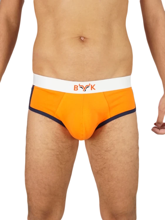 Slipybyk22.png