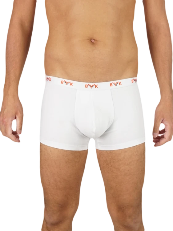 Slipybyk10.png