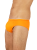 Slipybyk35.png