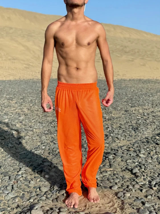Mesh Pants Orange2.png
