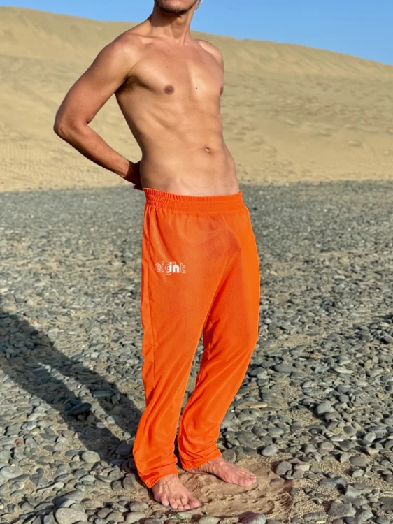 Mesh Pants Orange3.png