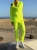 Nylon Overall Limon3.png