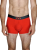 DSC02505.png