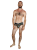 DSC02522.png