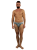 IMG_4270.png