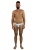 IMG_4260.png
