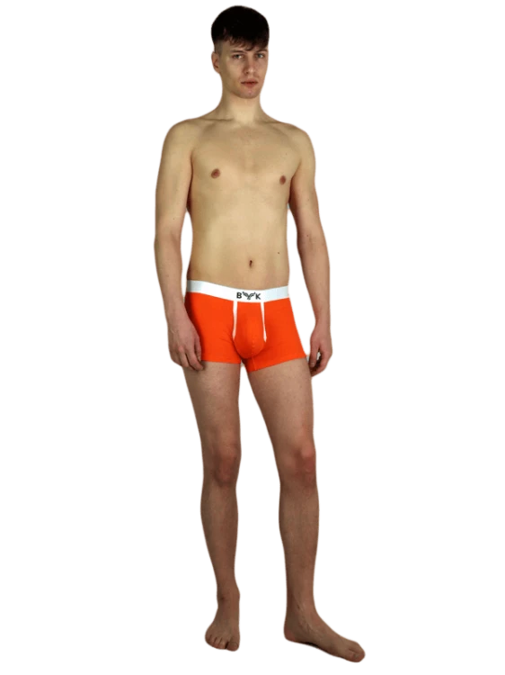 SlipyBYK61.png